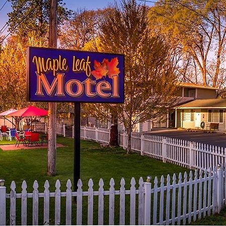 Maple Leaf Motel Shady Cove Extérieur photo